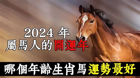 屬馬今年幾歲|屬馬今年幾歲？2024屬馬生肖年齡對照表！屬馬性格特質